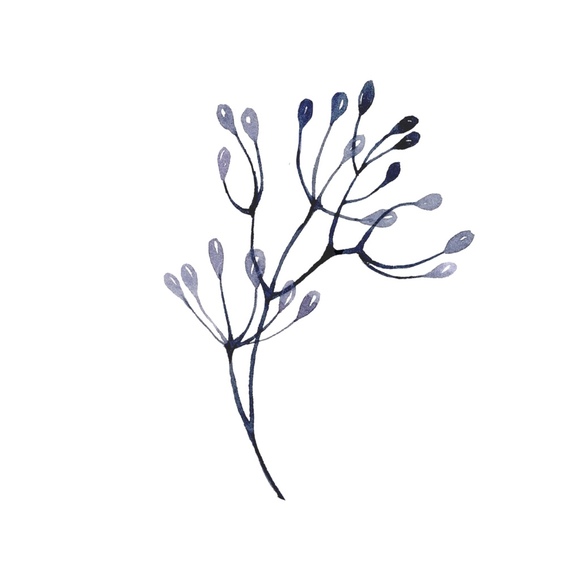 Poshmark profile picture for @nurtured